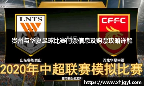 贵州与华夏足球比赛门票信息及购票攻略详解